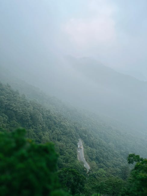 A scenic road winding through foggy green mountains, captured at dawn with a serene natural atmosphere.